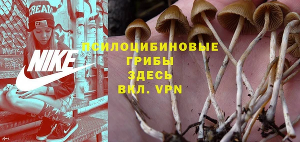 не бодяженный Волоколамск
