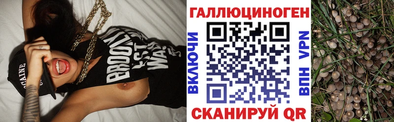 Псилоцибиновые грибы Cubensis Нижнеудинск