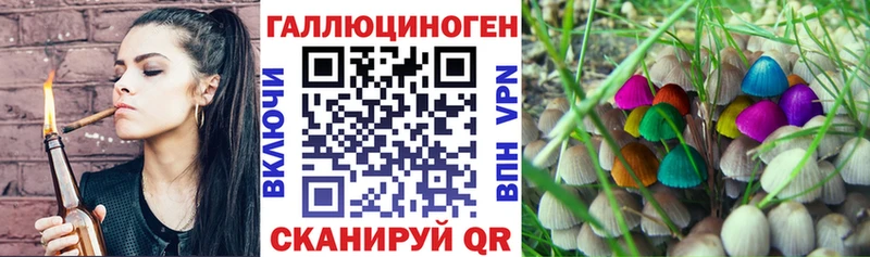 кракен ТОР  Нижнеудинск  Галлюциногенные грибы Psilocybe 